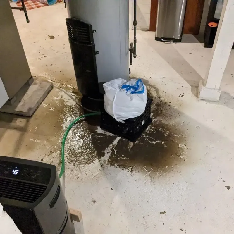 Sewage Backup Cleanup Service in Cumberland County, NC